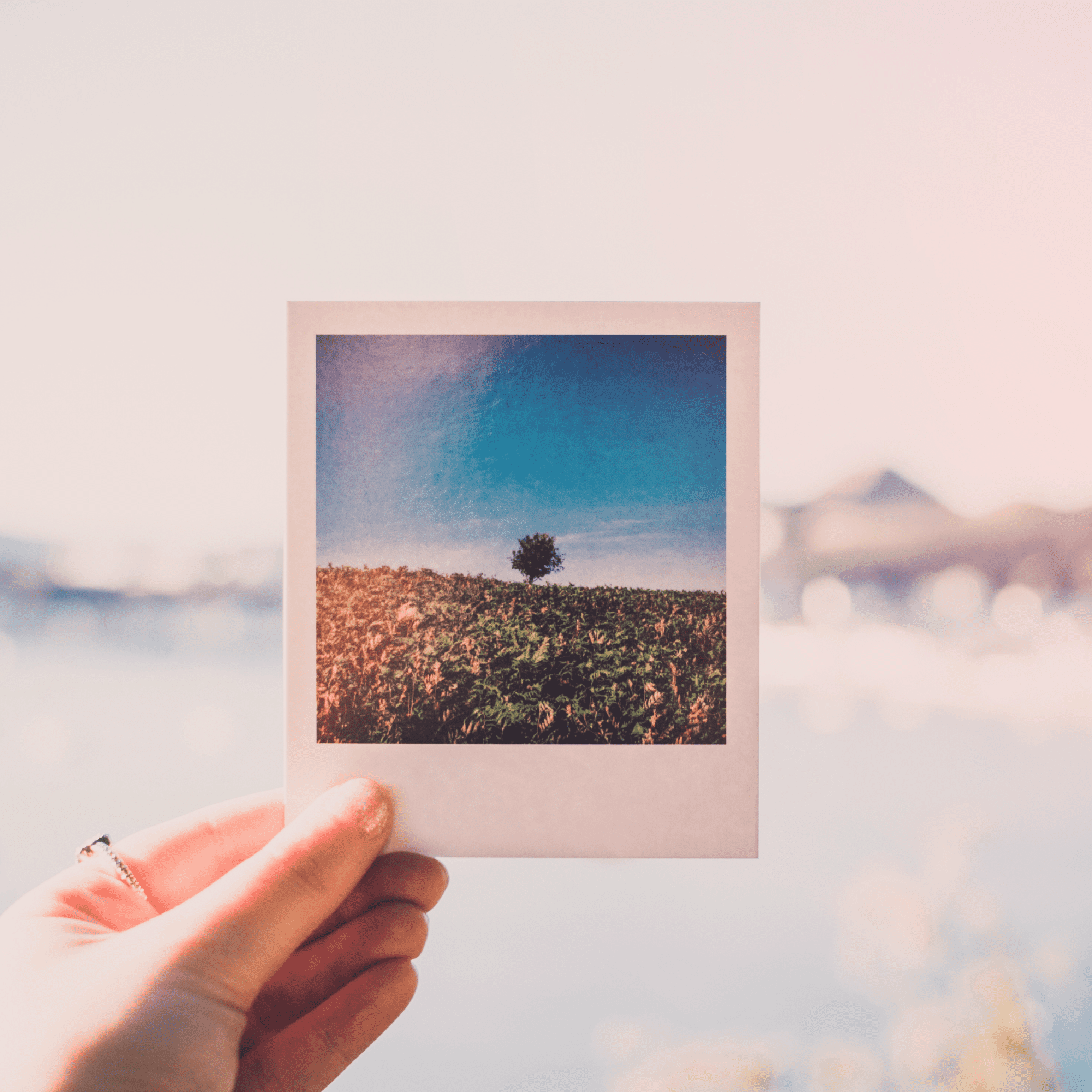 Como usar Fotos em cada Ambiente da Casa para trazer mais energia?